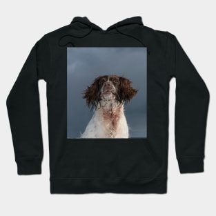 English Springer Spaniel Hoodie